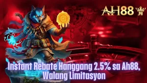 Instant Rebate Bonus